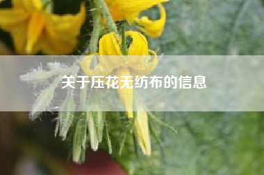 关于压花无纺布的信息