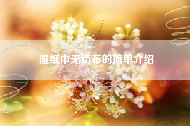 湿纸巾无纺布的简单介绍