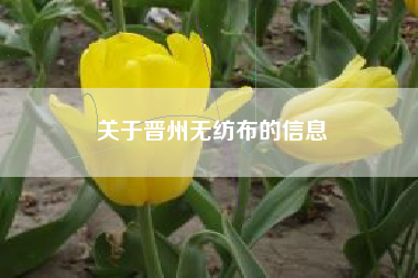 关于晋州无纺布的信息