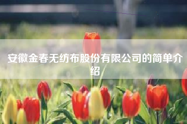 安徽金春无纺布股份有限公司的简单介绍