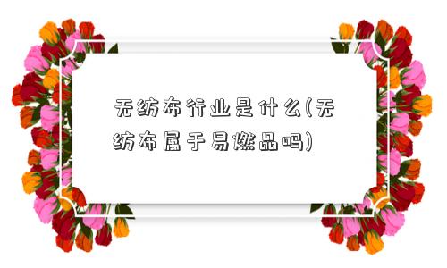 无纺布行业是什么(无纺布属于易燃品吗)