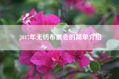 2017年无纺布展会的简单介绍