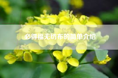 必得福无纺布的简单介绍