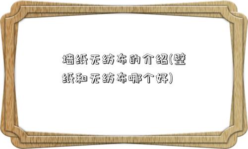 墙纸无纺布的介绍(壁纸和无纺布哪个好)