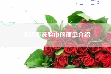 无纺布洗脸巾的简单介绍