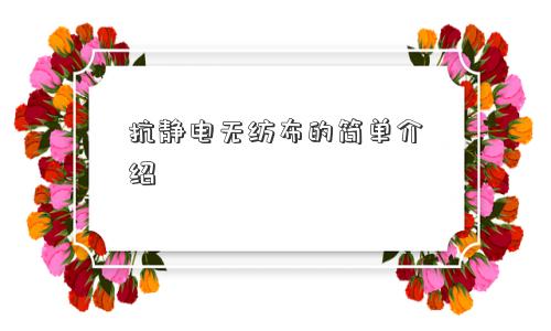 抗静电无纺布的简单介绍